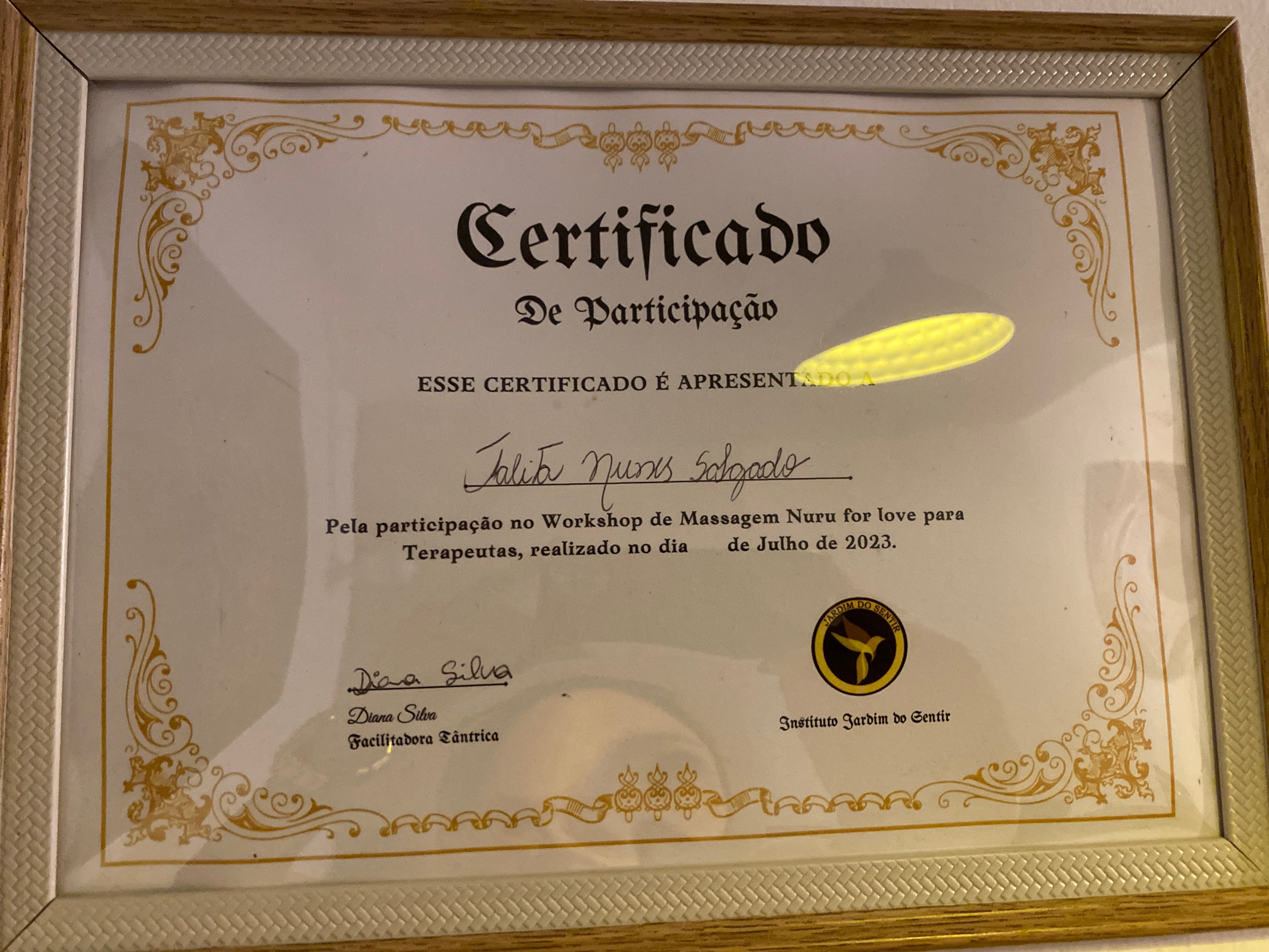 Certificado Profissional