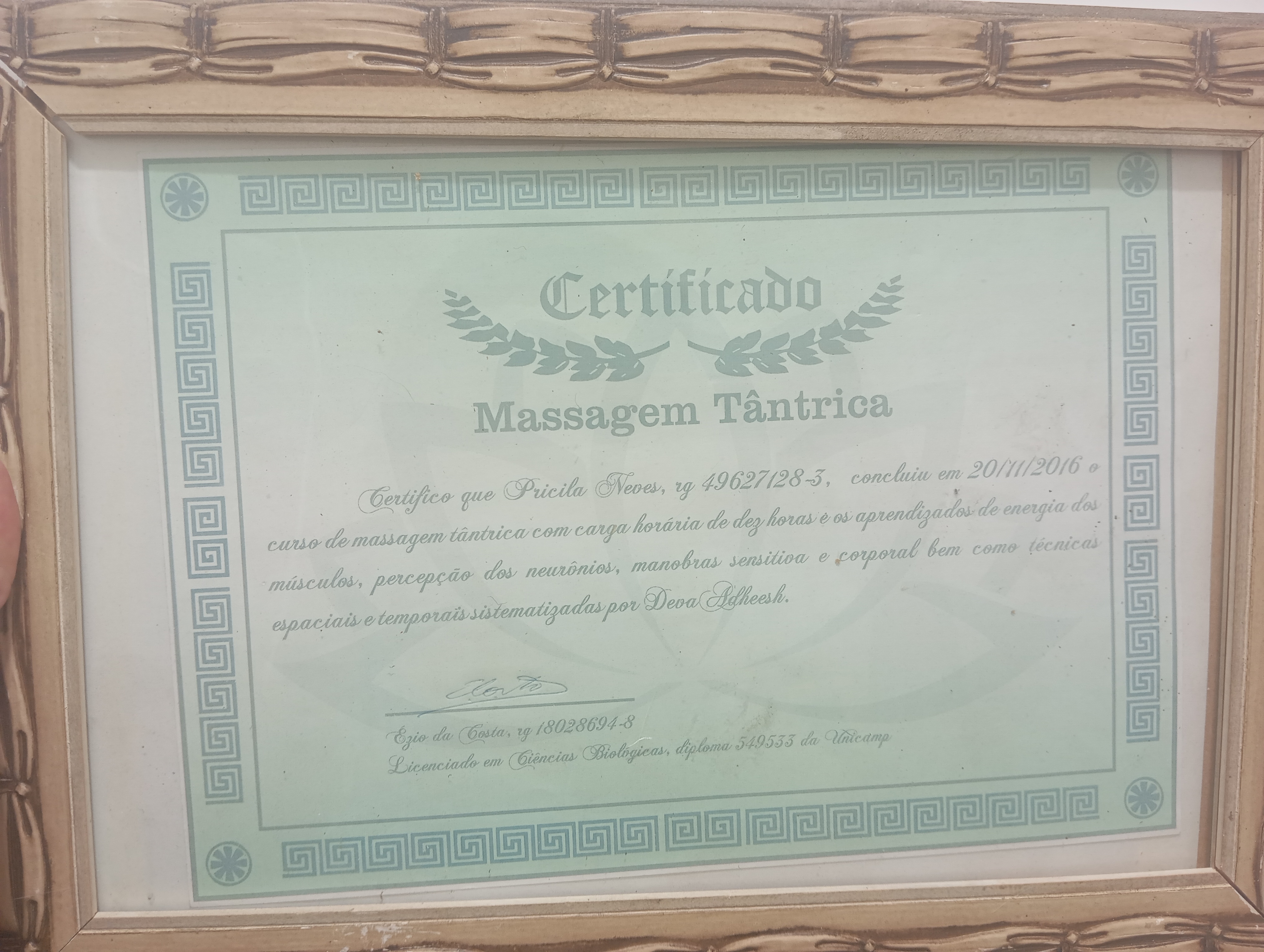 Certificado Profissional