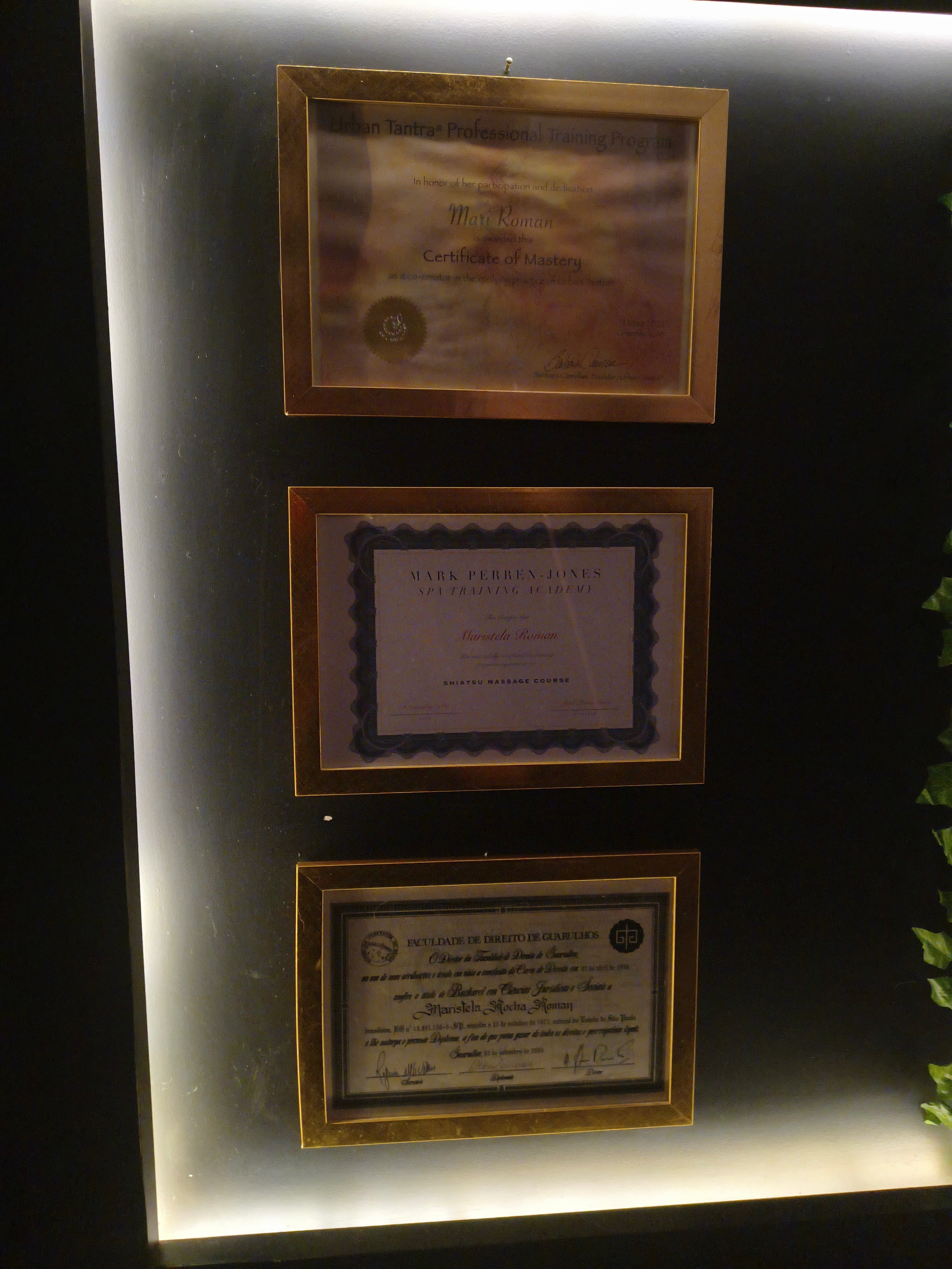 Certificado Profissional