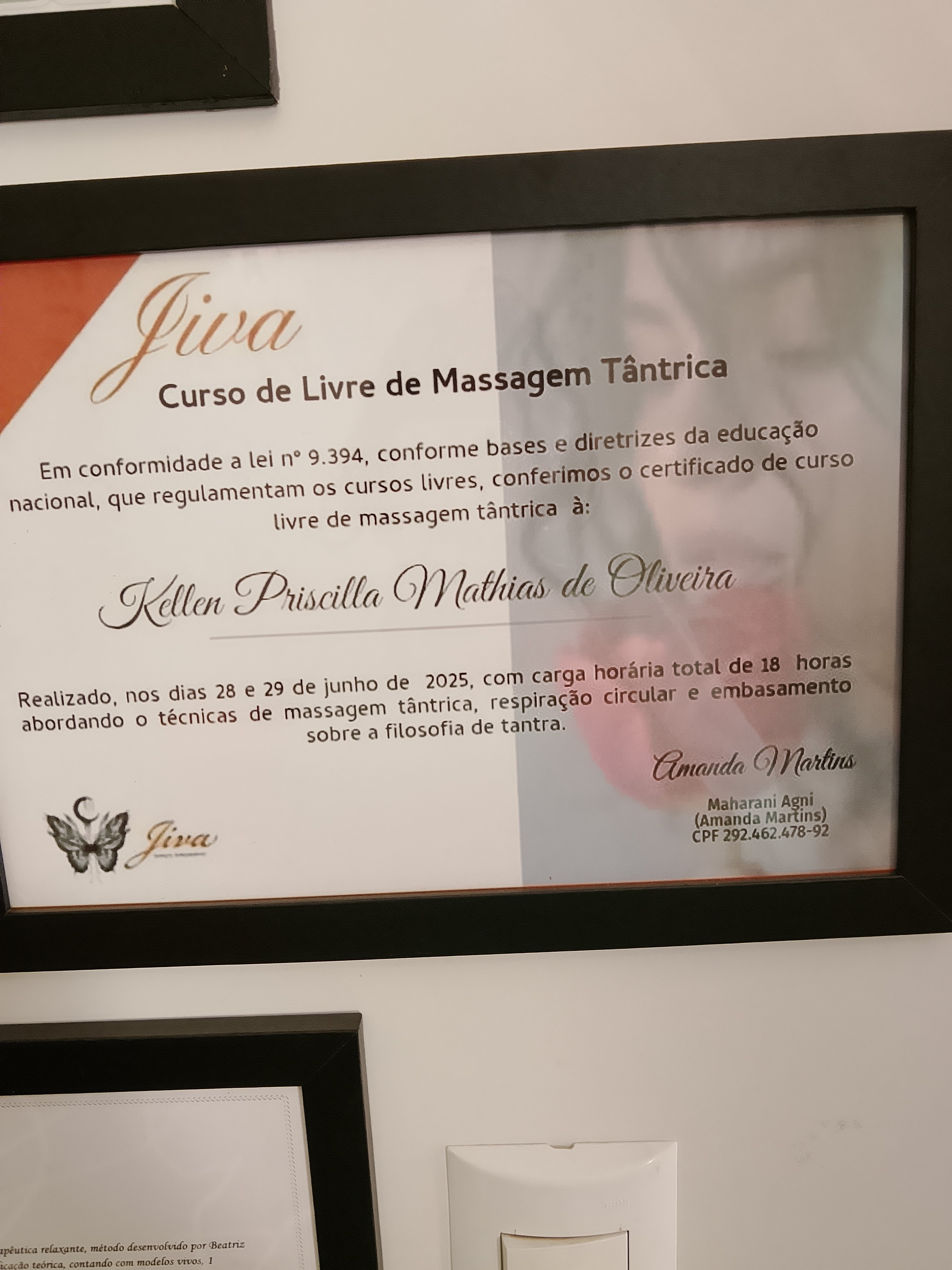 Certificado Profissional