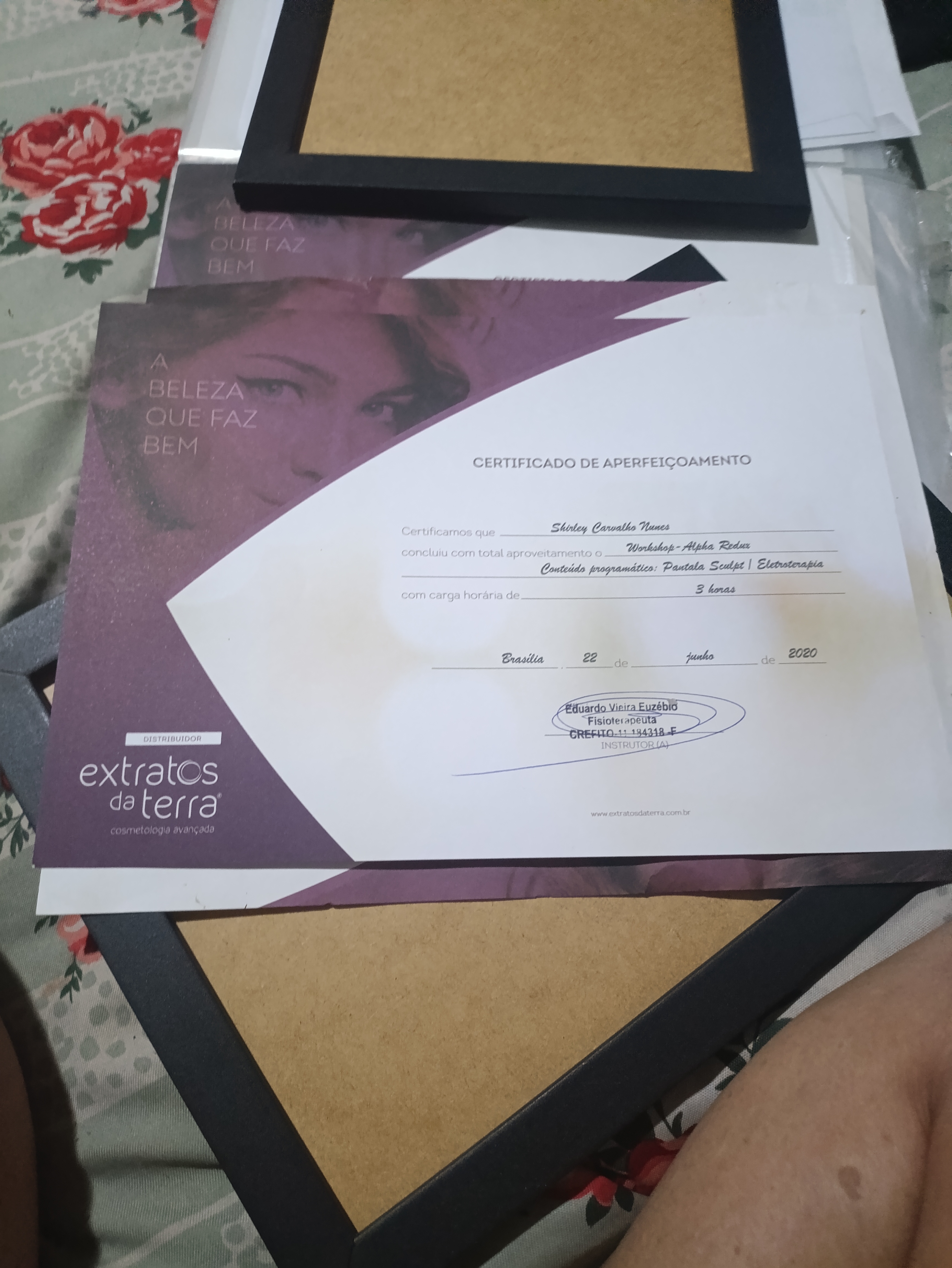 Certificado Profissional