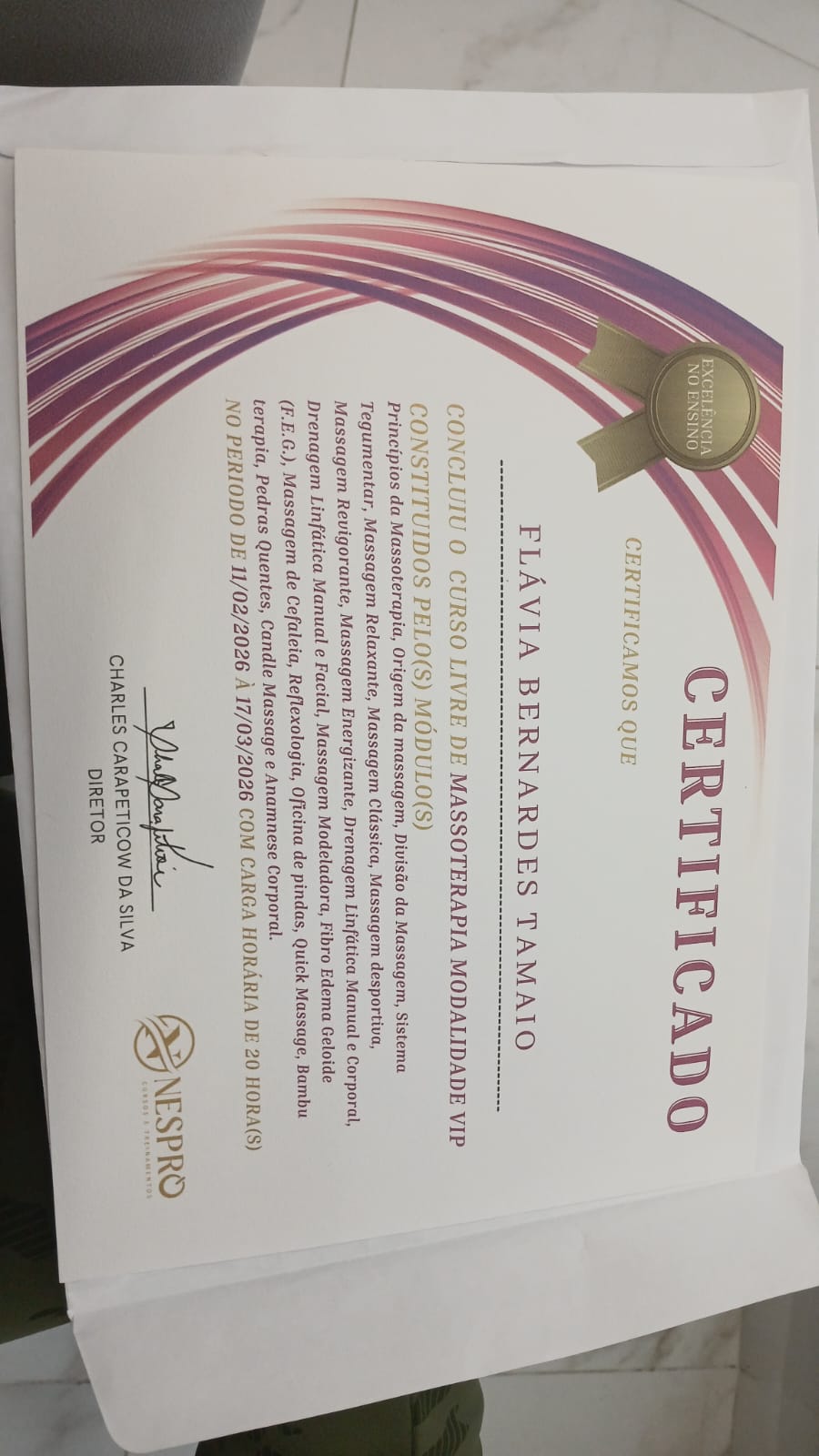 Certificado Profissional