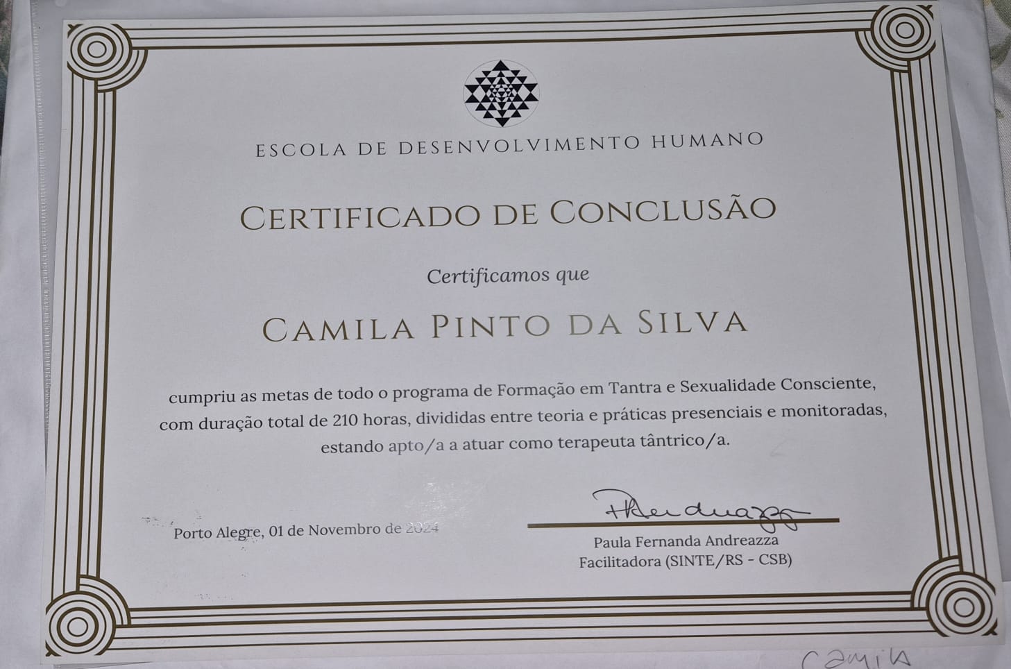 Certificado Profissional