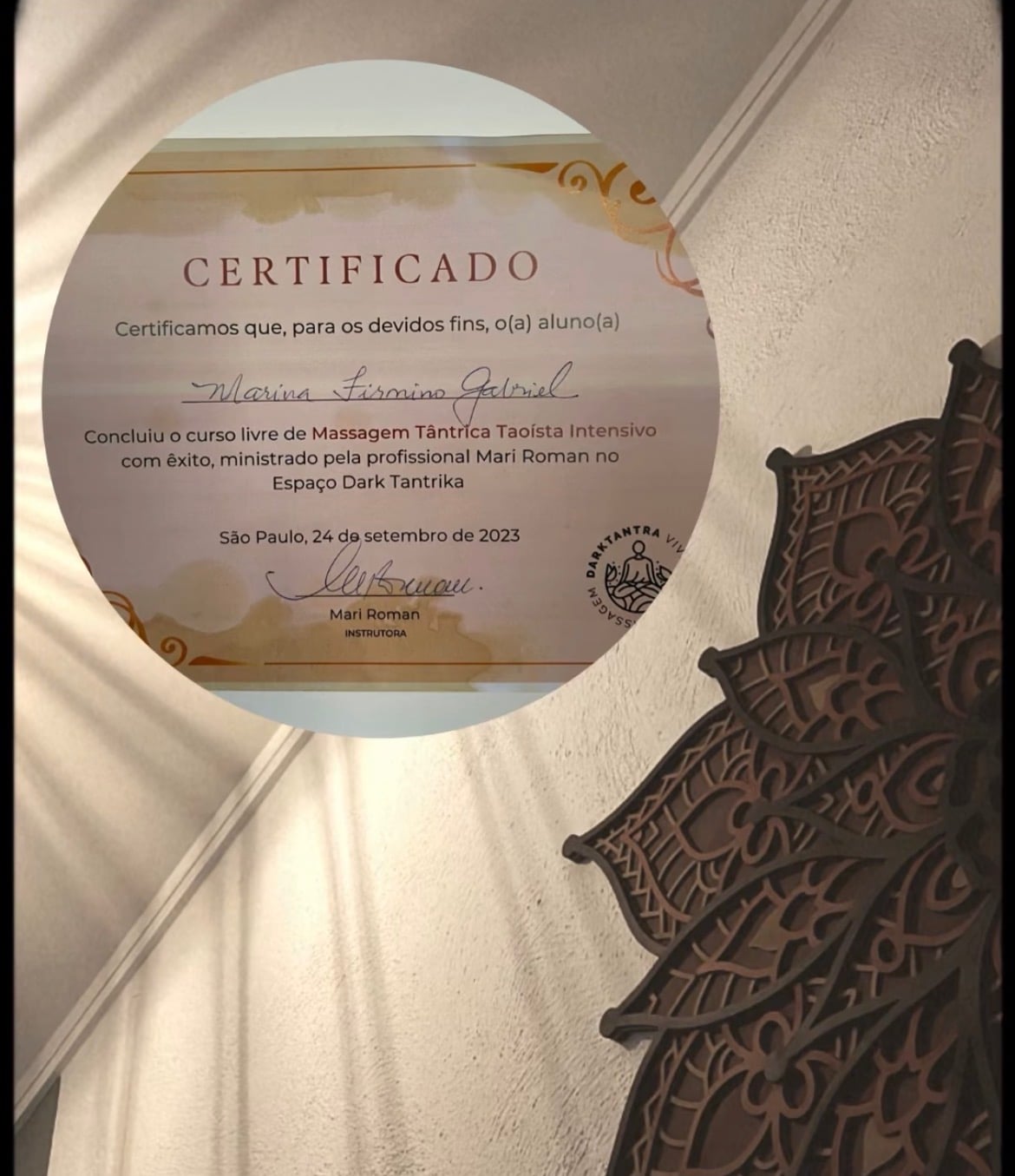 Certificado Profissional