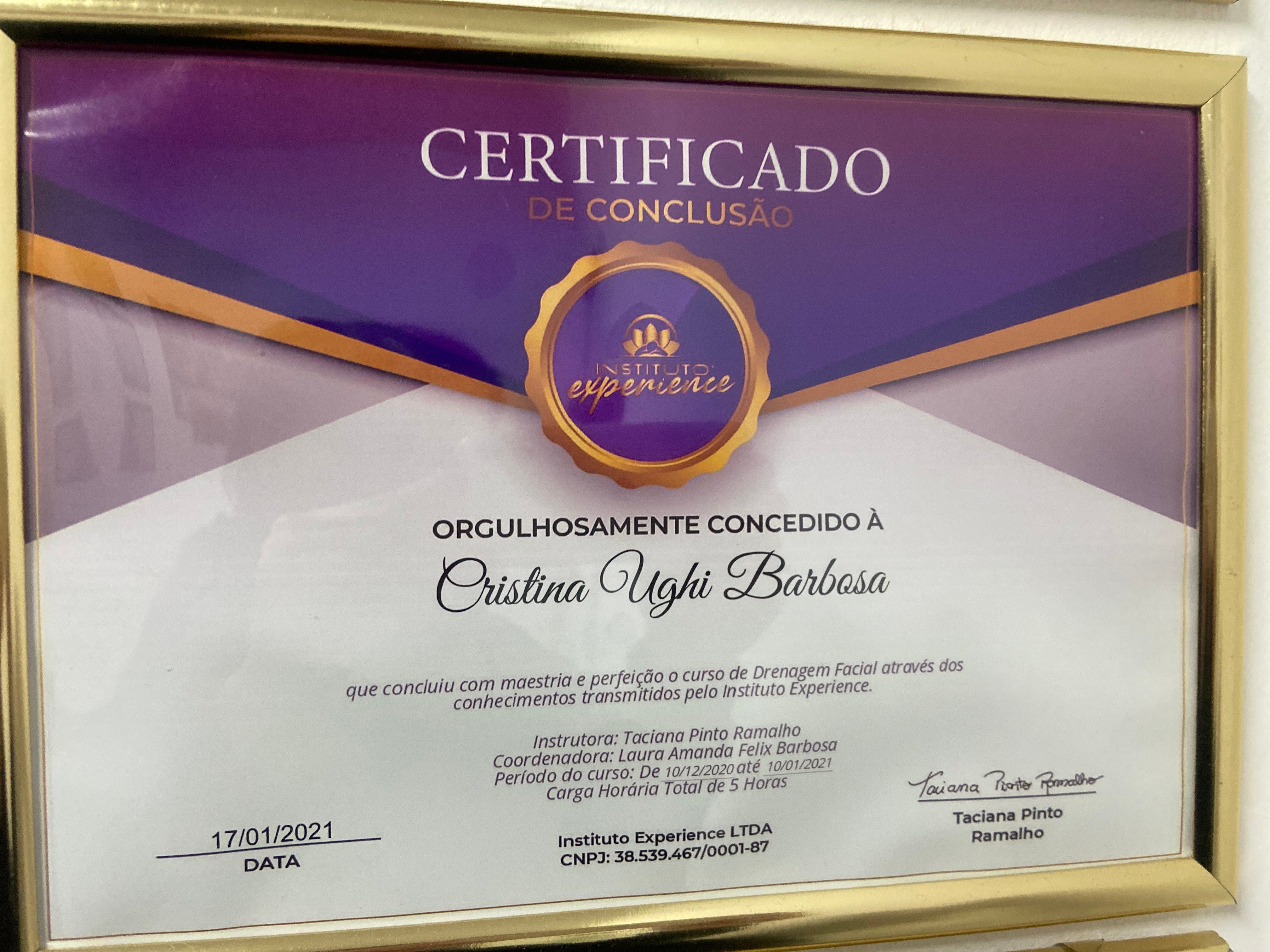 Certificado Profissional