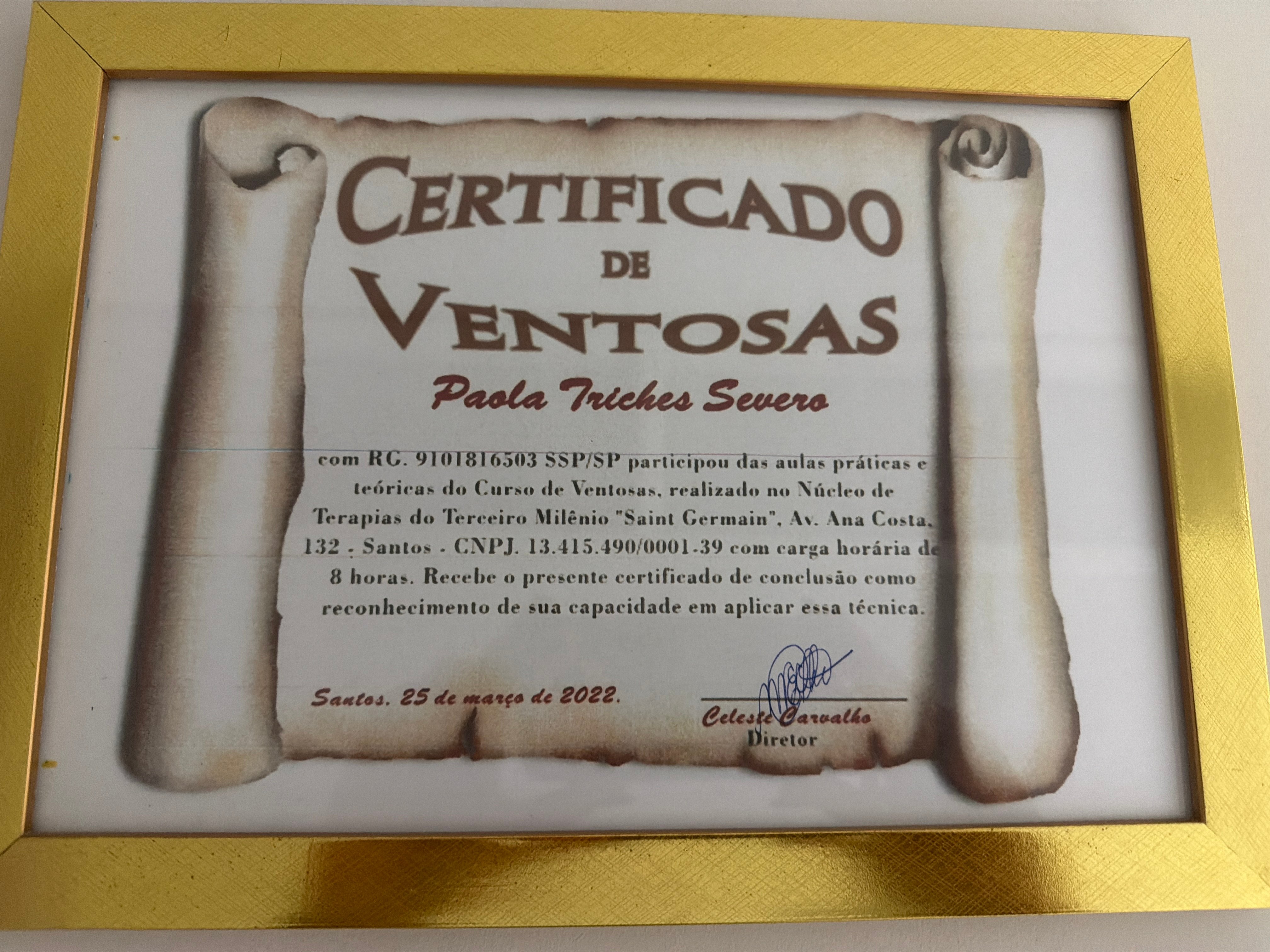 Certificado Profissional