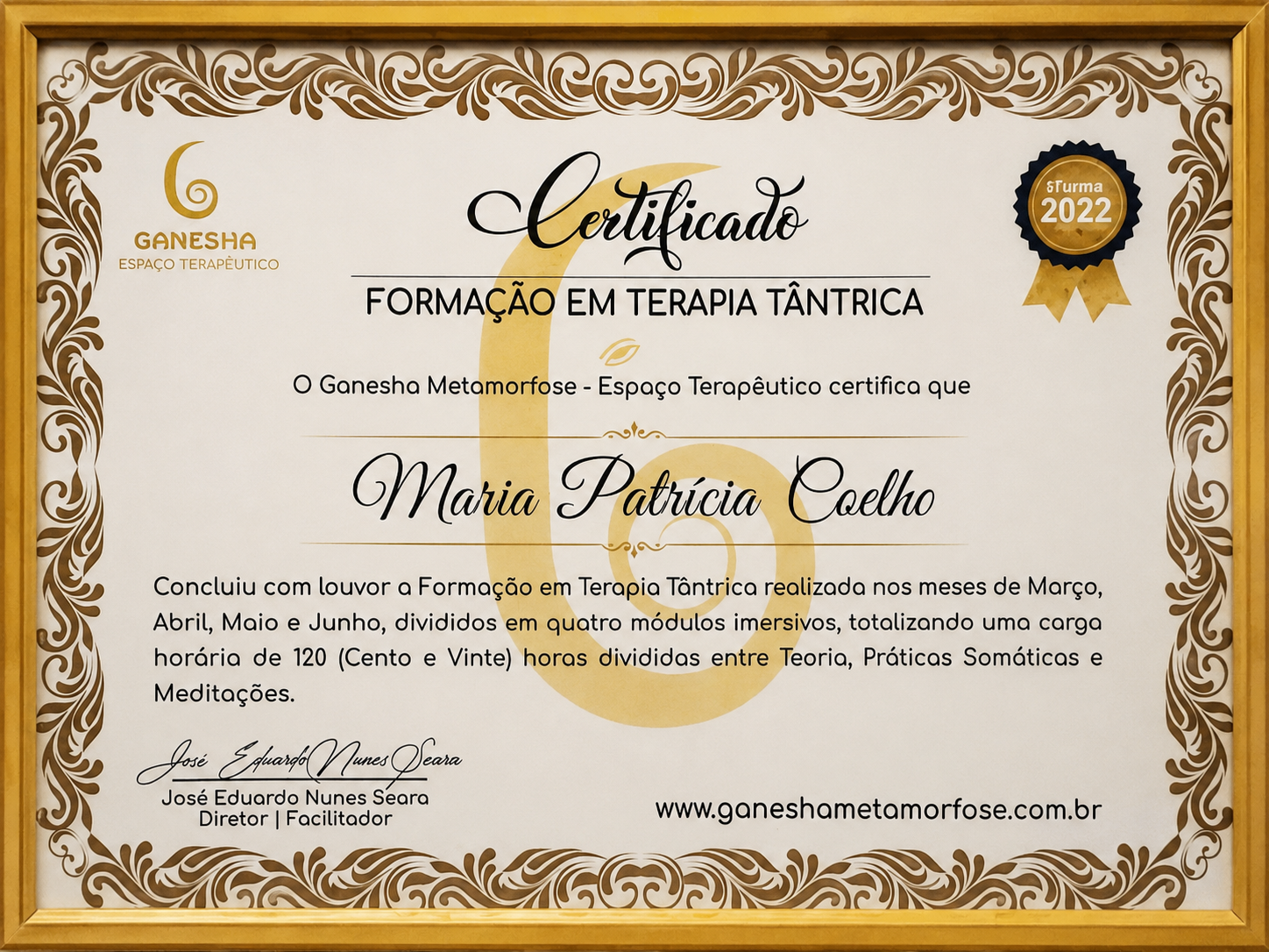 Certificado Profissional